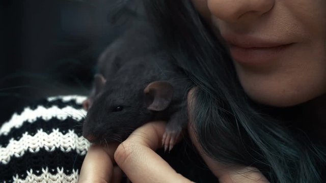 Beautiful lovely girl holds a hand a small home little pet brown mouse close up. She pats her kisses and smiles. Young woman with pet rat.
