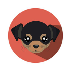 cute dog isolated icon vector illustration design