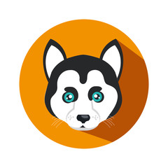 cute dog isolated icon vector illustration design