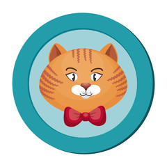 cute cat mascot isolated icon vector illustration design