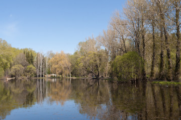 Spring landscape. Trees in urban park and their reflection in th