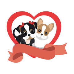 cute dogs isolated icon vector illustration design