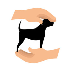 cute dog isolated icon vector illustration design