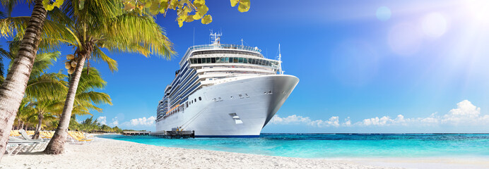 Fototapeta Cruise To Caribbean With Palm Trees - Tropical Beach Holiday
 obraz