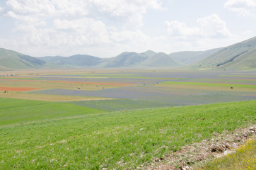 LA FIORITA CASTELLUCCIO DI NORCIA