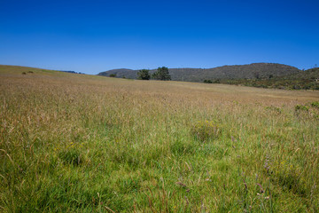 Countryside landscape under deep blue sky