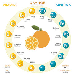Infographics about nutrients in orange