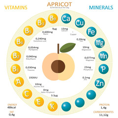 Infographics about nutrients in apricot