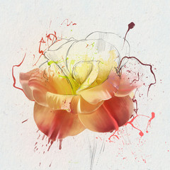 Bright and luxurious eustoma closeup, isolated on a white background, with elements of the sketch and spray paint