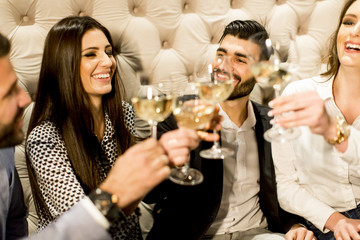 Group of young friends toasting with white wine