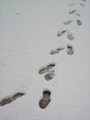 fussspuren im schnee