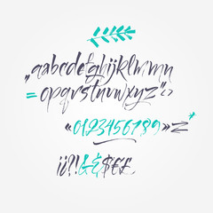 Vector calligraphic alphabet