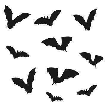 Flock of bats. Black shadows of bats on a white background.