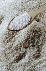 Arroz como exposicion y en cantidad en girona cataluña españa