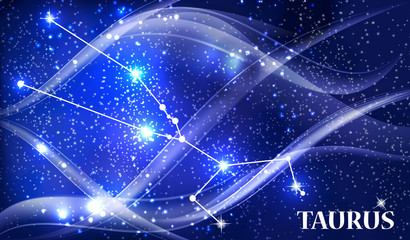 Symbol Taurus Zodiac Sign. Vector Illustration.