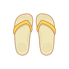 Flip-flops isolated on a white background.