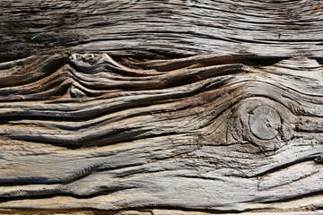 Fototapeta premium Amazing wood texture