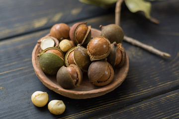 Macadamia nuts in shell