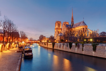 Fototapeta na wymiar Paris. Notre Dame.