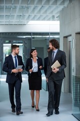 Fototapeta premium Businesswoman walking with colleagues