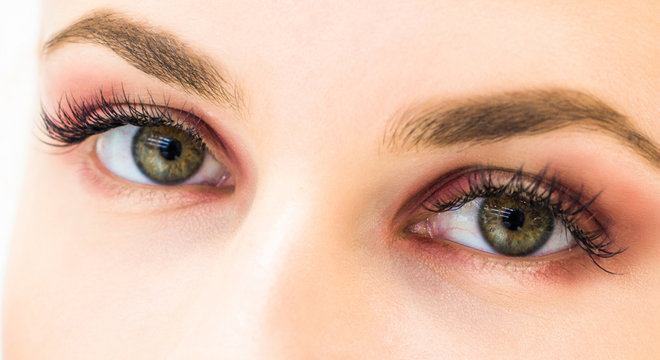 Close-up of eyebrows and eyes on a light background