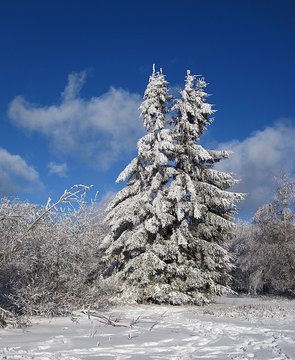 Winterlandschaft