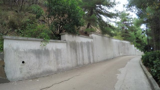 Stone wall with climbing plants