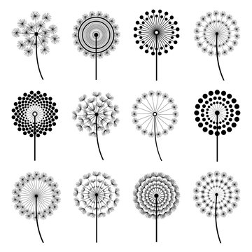 Set of stylized dandelions