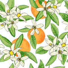 Seamless pattern of isolated hand drawn oranges and flowers in s