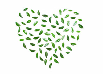 Heart from green leaves