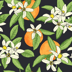 Seamless pattern of isolated hand drawn oranges and flowers in s - 134757188