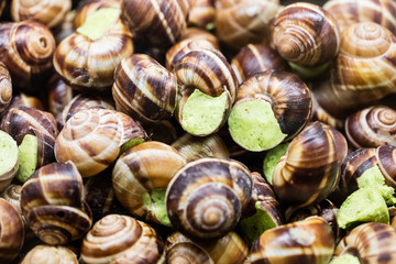Prepared snails with garlic parsley butter for French specialty recipe