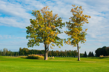 Fototapeta na wymiar Golf course in the countryside. Beautiful green landscape. Golf course green in autumn colors.