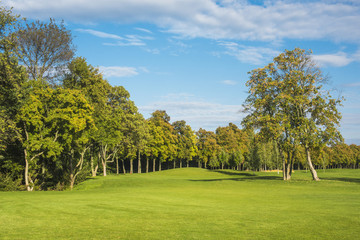 Golf course in the countryside. Beautiful green landscape. Golf course green in autumn colors.