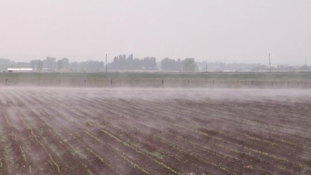 Steam Fog Rises From Warm Moist Farmland