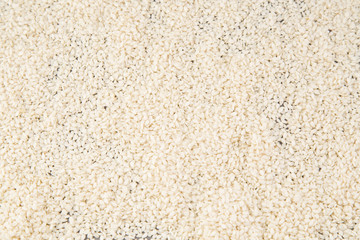 Fototapeta na wymiar Sesame white seed (Sesamum indicum)