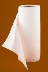 Paper towels isolated on white background.