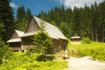Fototapeta na wymiar Old rural woody houses in Slovakia