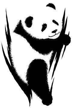 black and white linear paint draw panda illustration