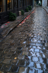 Paris Street in Rain