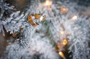 Wedding rings on a tree on a background of lights
