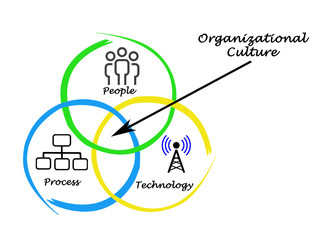 Obraz premium Diagram of Organizational Culture