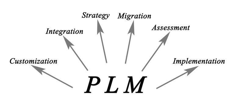 PLM