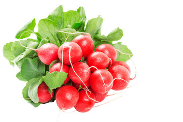 Fresh red radishes isolated on white