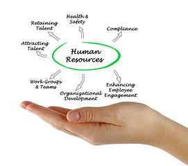 Human Resources