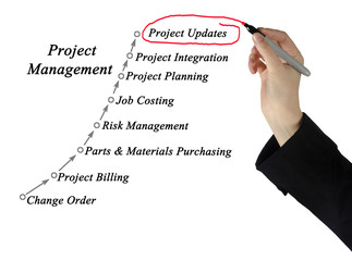 Project Management