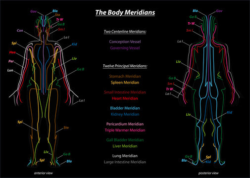 Woman with body meridians and their names - front and back view - black background.