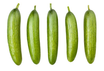 cucumber