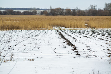 Agricultural field under the snow. winter season