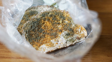  green, orange and white spores moldy bread in plastic bag on wo